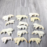 14 Craft Grade Beaver Jaws. #6355