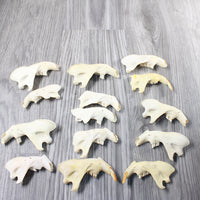 14 Craft Grade Beaver Jaws. #6355