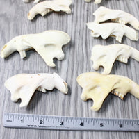 14 Craft Grade Beaver Jaws. #6355