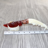 Coyote Jaw Handle Glass Blade Ornamental Knife #1063    Mountain Man Knife