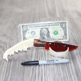 Coyote Jaw Handle Glass Blade Ornamental Knife #1063    Mountain Man Knife