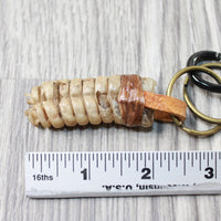 1 Rattlesnake Rattle Key Ring   #4455       Mountain Man Key Chain
