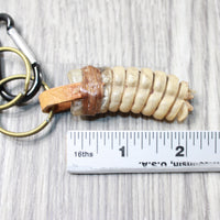 1 Rattlesnake Rattle Key Ring   #4455       Mountain Man Key Chain