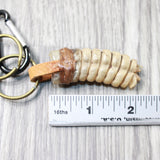 1 Rattlesnake Rattle Key Ring   #4455       Mountain Man Key Chain