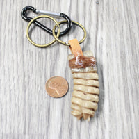1 Rattlesnake Rattle Key Ring   #4455       Mountain Man Key Chain