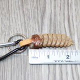 Very Very Large Rattlesnake Rattle Key Ring   #4063       Mountain Man Key Chain