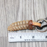 Very Very Large Rattlesnake Rattle Key Ring   #4063       Mountain Man Key Chain