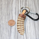 Very Very Large Rattlesnake Rattle Key Ring   #4063       Mountain Man Key Chain