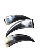 4 Small Polished Cow Horns #4455    Natural colored  a