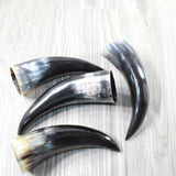 4 Small Polished Cow Horns #4455    Natural colored  a