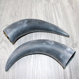 2 Raw Unfinished Cow Horns #9464     Natural Colored