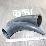 2 Raw Unfinished Cow Horns #9464     Natural Colored
