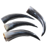 4 Polished Cow Horns #3955    Natural colored  a