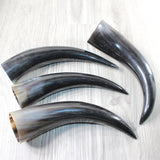 4 Polished Cow Horns #3955    Natural colored  a
