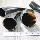 4 Polished Cow Horns #3955    Natural colored  a