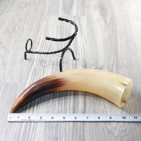 1 Polished Cow Horn With Stand #1955    Natural Colored
