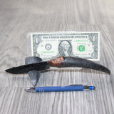 Springbok Horn Handle Obsidian Blade Ornamental Knife #6764  Mountain Man Knife