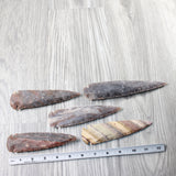 5 Stone Ornamental Spearheads  #6055     Arrowhead