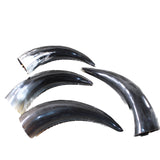 4 Small Polished Cow Horns #1155    Natural colored a