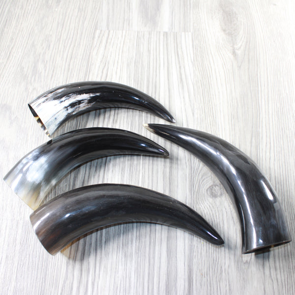 4 Small Polished Cow Horns #1155    Natural colored