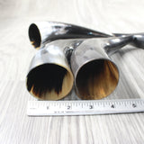 4 Small Polished Cow Horns #1155    Natural colored a