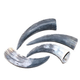 4 Raw Unfinished Cow Horns #8764     Natural Colored