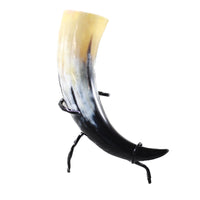 1 Polished Cow Horn With Stand #2055    Natural Colored