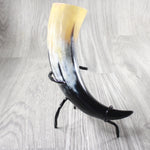 1 Polished Cow Horn With Stand #2055    Natural Colored