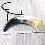 1 Polished Cow Horn With Stand #2055    Natural Colored