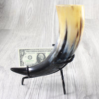 1 Polished Cow Horn With Stand #2055    Natural Colored