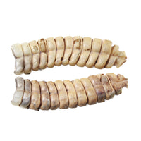 2 Extra Large Rattlesnake Rattles  #7155    Taxidermy Diamondback Sidewinder