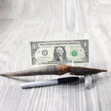 Impala Horn Handle Stone Blade Ornamental Knife #2255    Mountain Man Knife