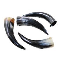 4 Polished Cow Horns #6646 Natural colored