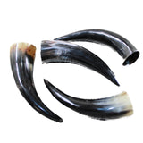 4 Polished Cow Horns #6646 Natural colored