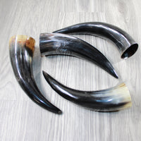 4 Polished Cow Horns #6646 Natural colored