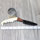 Coyote Jaw Handle Obsidian Blade Ornamental Knife #1864  Mountain Man Knife