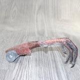 Turkey Foot Handle Stone Blade Ornamental Knife #9864    Mountain Man Knife