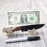 Rattlesnake Head Handle Obsidian Blade Ornamental Knife #4355  Mountain Man Knife