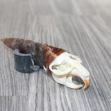 Muskrat Skull Handle Stone Blade Ornamental Knife #0964    Mountain Man Knife