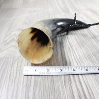 1 Polished Cow Horn With Stand #4455    Natural Colored
