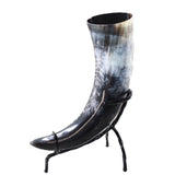 1 Polished Cow Horn With Stand #5655    Natural Colored