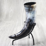 1 Polished Cow Horn With Stand #5655    Natural Colored