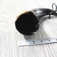 1 Polished Cow Horn With Stand #5655    Natural Colored