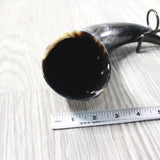 1 Polished Cow Horn With Stand #5655    Natural Colored
