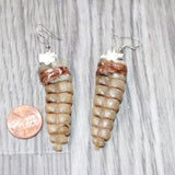 Large Rattlesnake Rattle Earrings  #4264  Mountain Man Earrings
