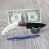 Red Fox Jaw Handle Obsidian Blade Ornamental Knife #8264  Mountain Man Knife