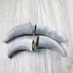 4 Raw Unfinished Cow Horn Tips #0746 Natural Colored