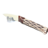 Cholla Cactus Wood Handle Bone Blade Ornamental Knife #4364    Mountain Man Knife