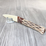 Cholla Cactus Wood Handle Bone Blade Ornamental Knife #4364    Mountain Man Knife