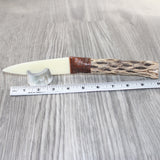 Cholla Cactus Wood Handle Bone Blade Ornamental Knife #4364    Mountain Man Knife